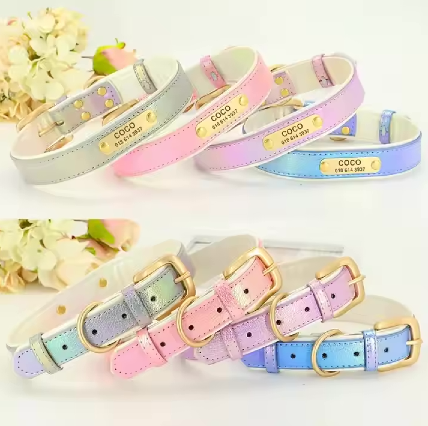 Glanzvolles Hundehalsband mit personalisierter Gravur – Schimmerndes Design & höchster Tragekomfort