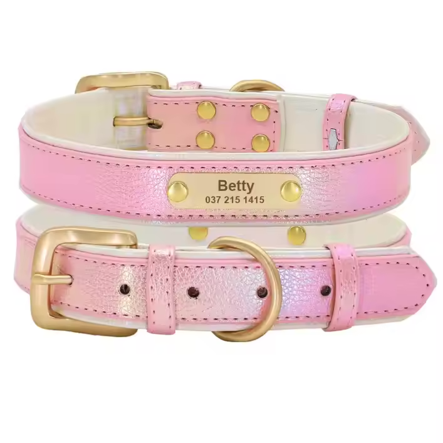 Glanzvolles Hundehalsband mit personalisierter Gravur – Schimmerndes Design & höchster Tragekomfort