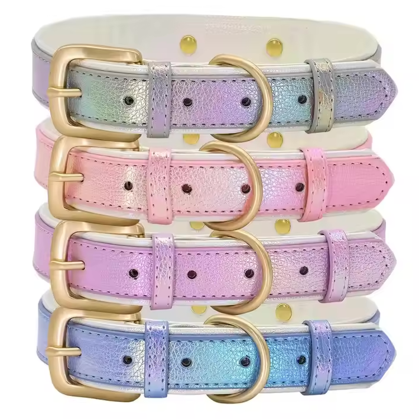 Glanzvolles Hundehalsband mit personalisierter Gravur – Schimmerndes Design & höchster Tragekomfort