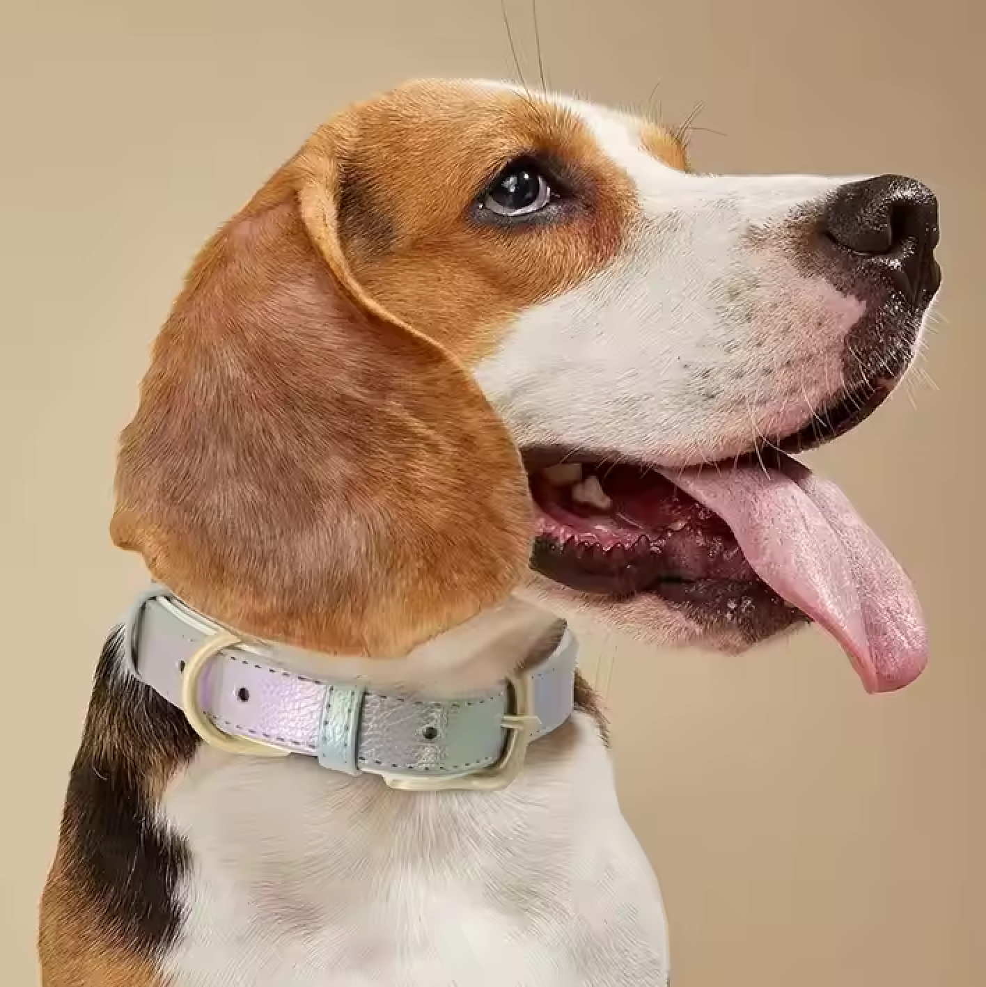 Glanzvolles Hundehalsband mit personalisierter Gravur – Schimmerndes Design & höchster Tragekomfort