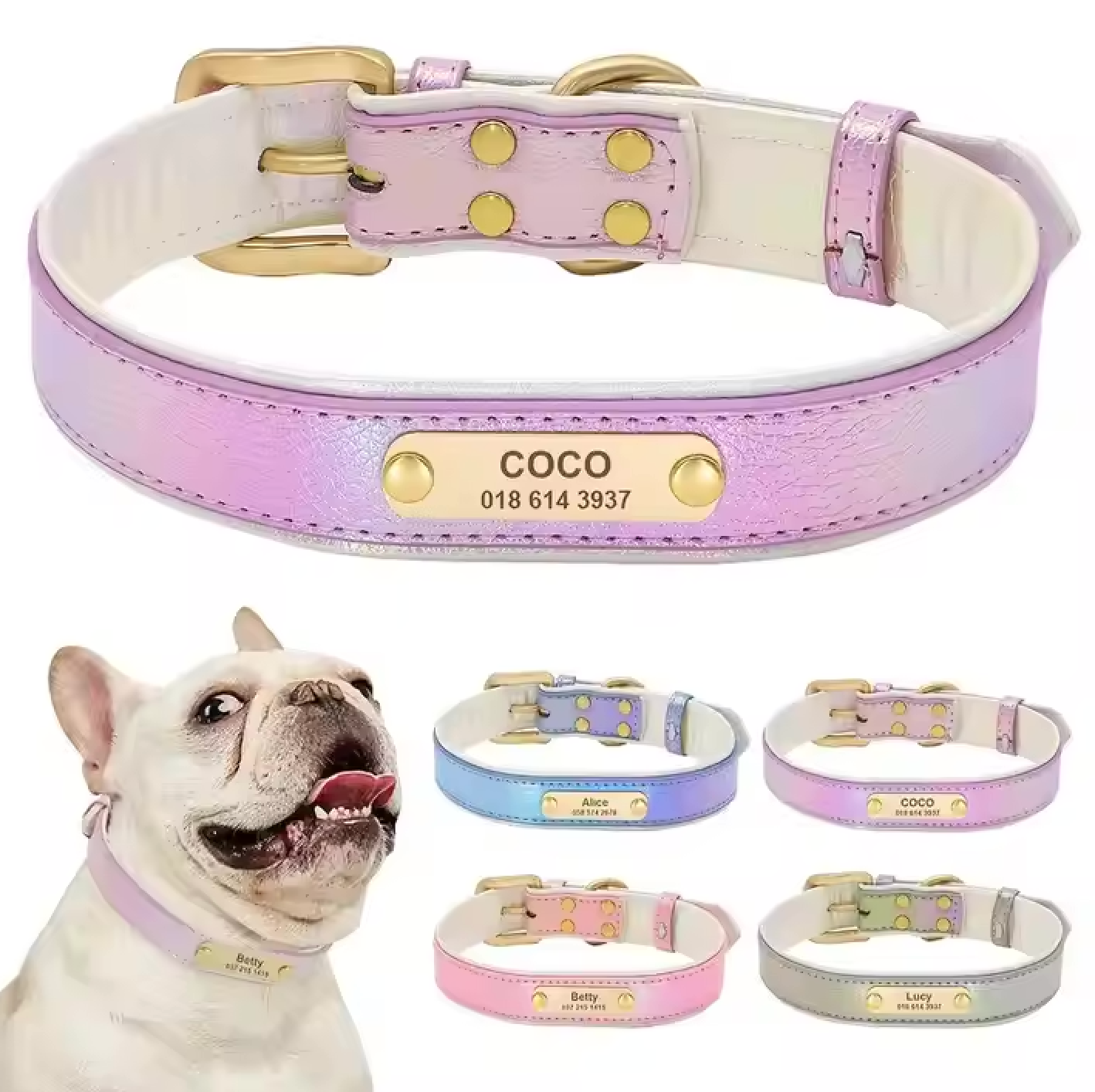 Glanzvolles Hundehalsband mit personalisierter Gravur – Schimmerndes Design & höchster Tragekomfort