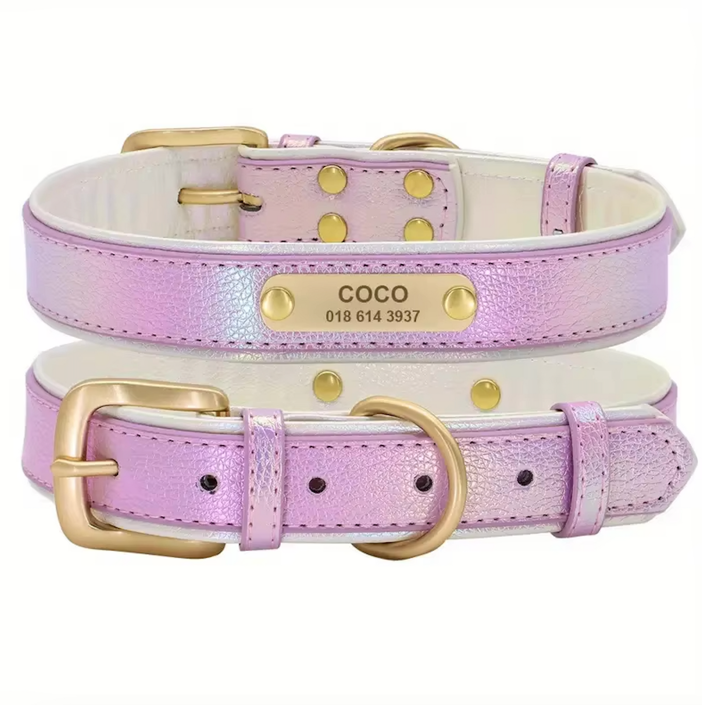 Glanzvolles Hundehalsband mit personalisierter Gravur – Schimmerndes Design & höchster Tragekomfort