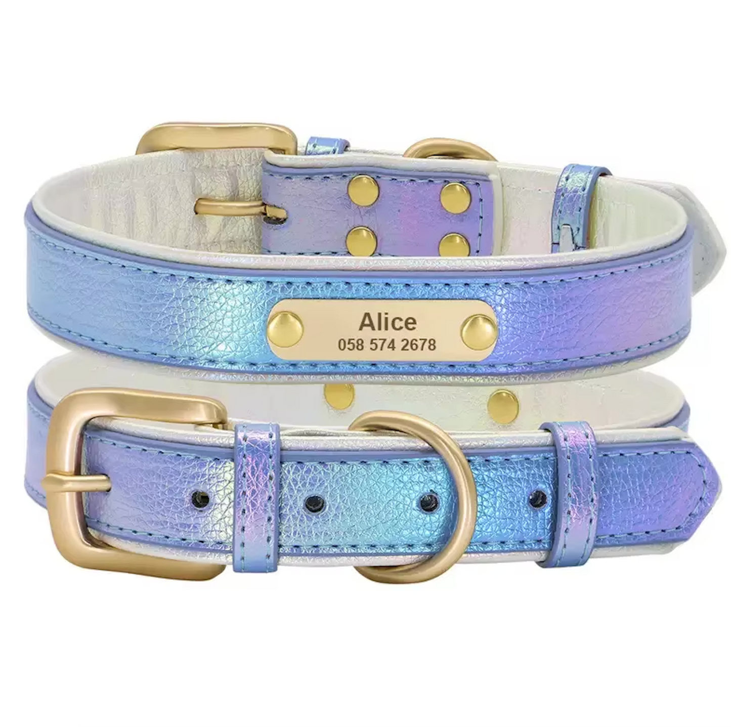 Glanzvolles Hundehalsband mit personalisierter Gravur – Schimmerndes Design & höchster Tragekomfort