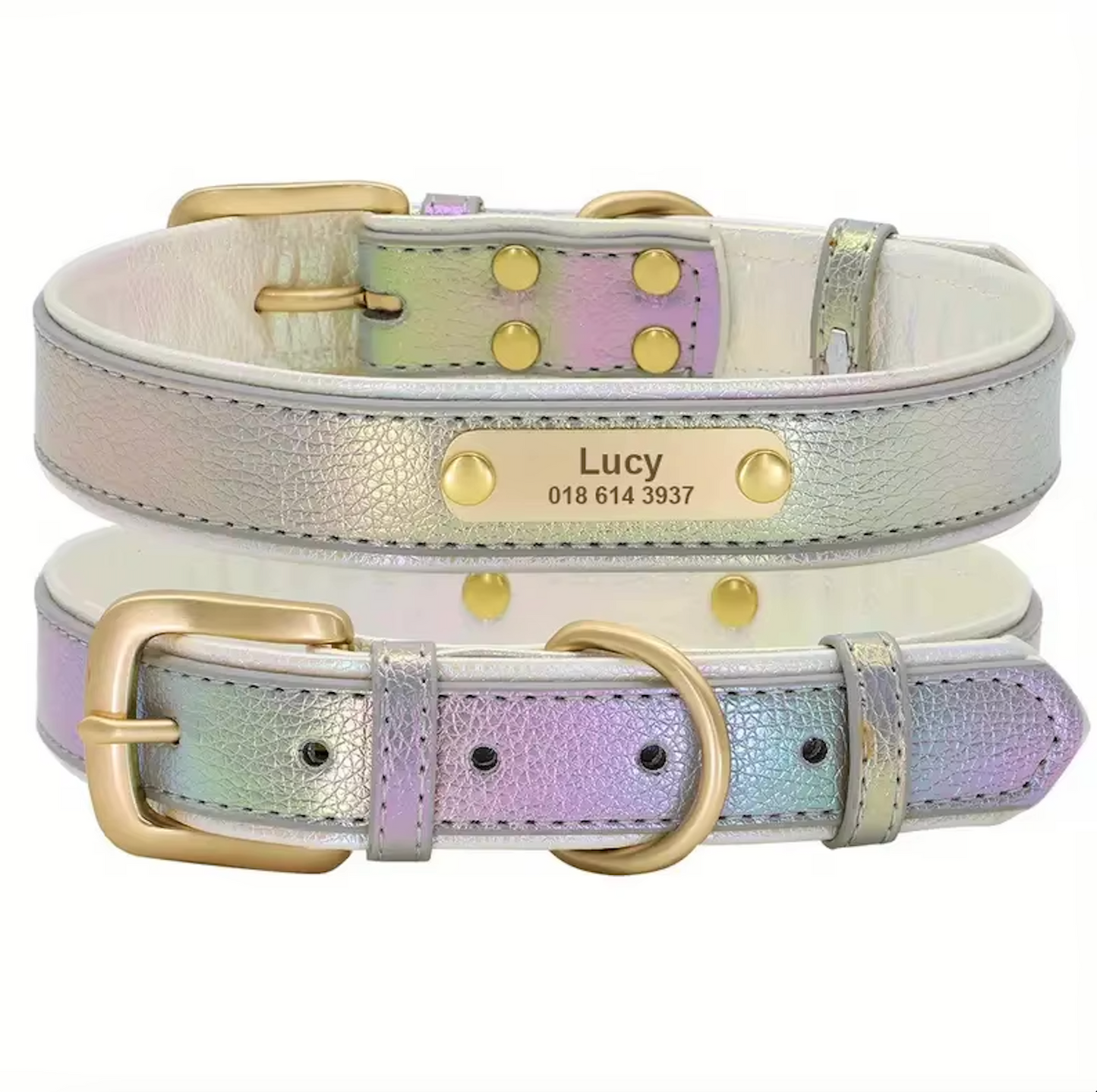 Glanzvolles Hundehalsband mit personalisierter Gravur – Schimmerndes Design & höchster Tragekomfort