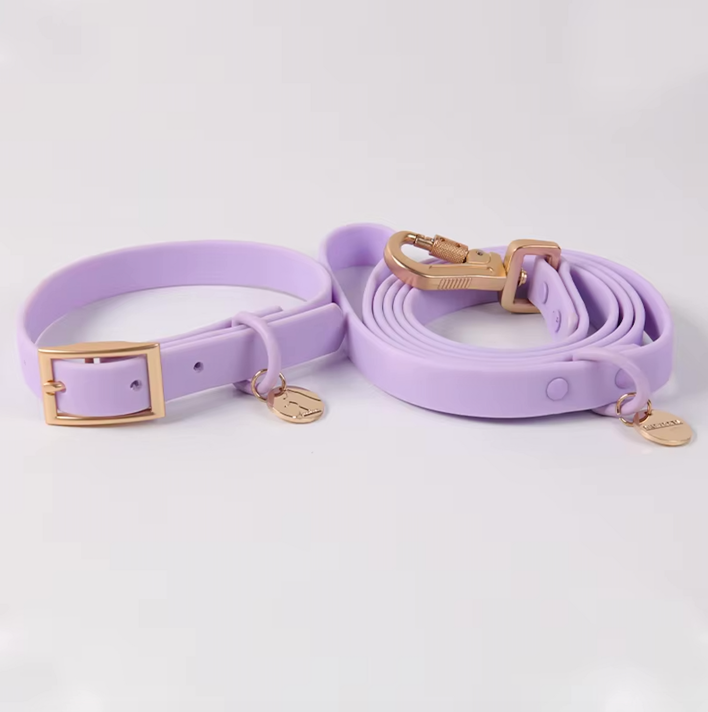 Wasserdichtes Hundehalsband & Leine im Set – Robust, stilvoll & in vielen Farben erhältlich