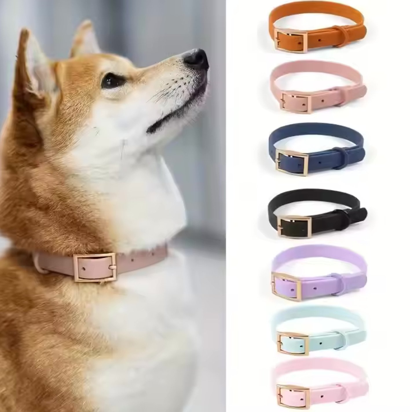 Wasserdichtes Hundehalsband & Leine im Set – Robust, stilvoll & in vielen Farben erhältlich
