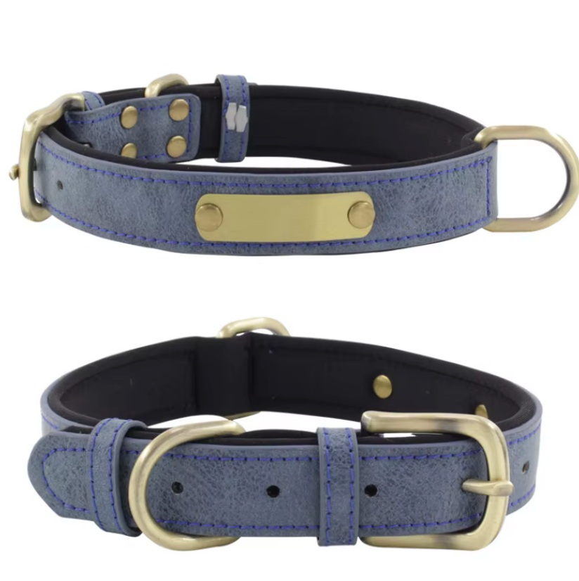 Wunderschönes Halsband mit Namen graviert.