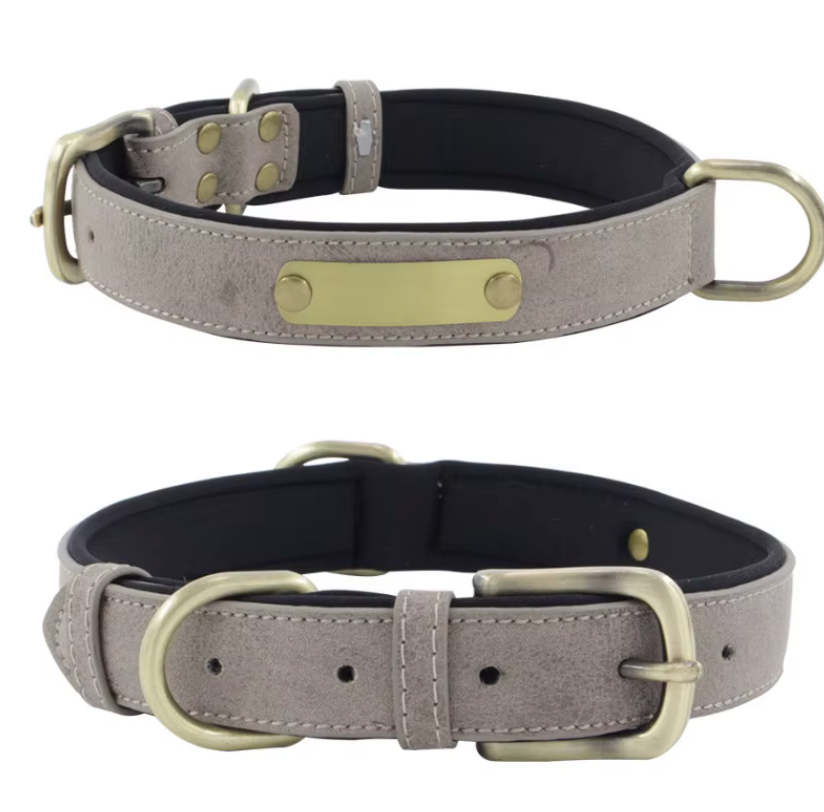 Wunderschönes Halsband mit Namen graviert.
