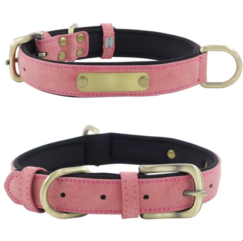 Wunderschönes Halsband mit Namen graviert.