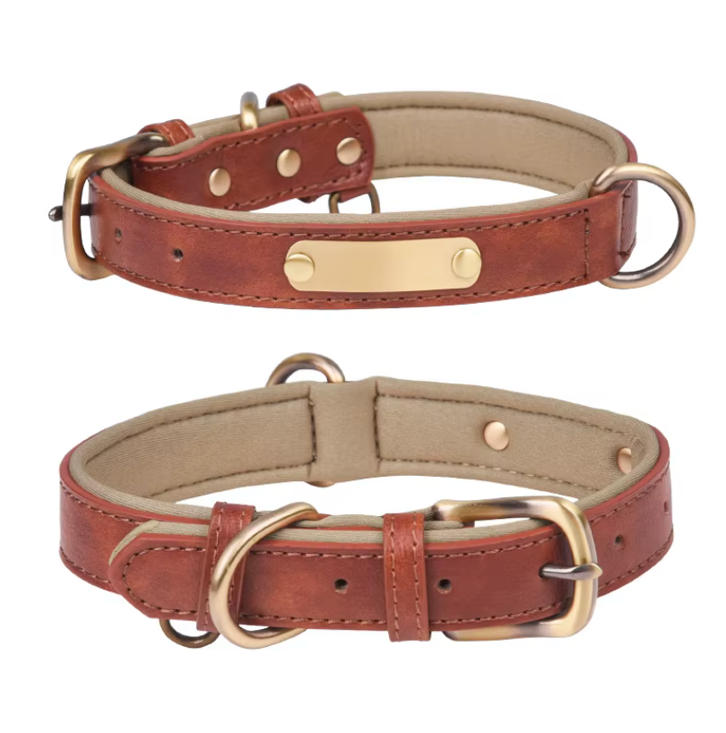 Wunderschönes Halsband mit Namen graviert.