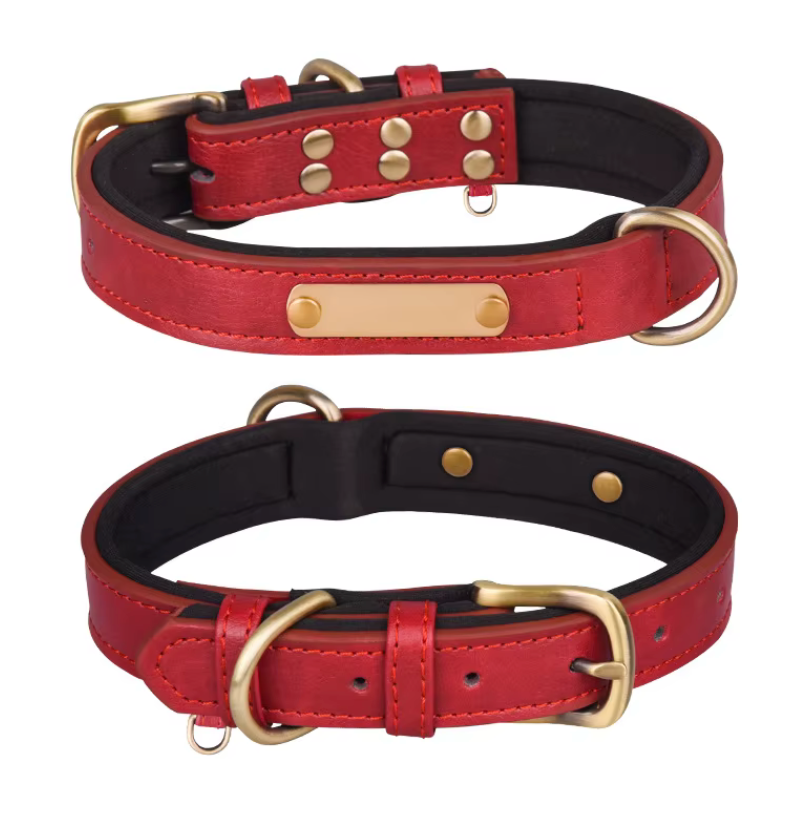 Wunderschönes Halsband mit Namen graviert.