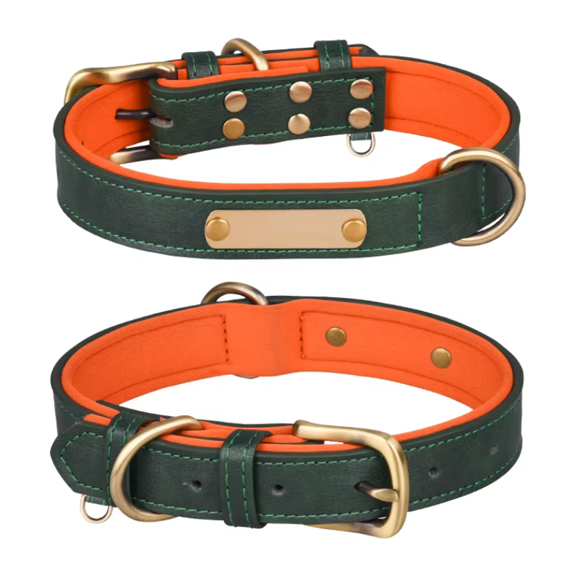 Wunderschönes Halsband mit Namen graviert.