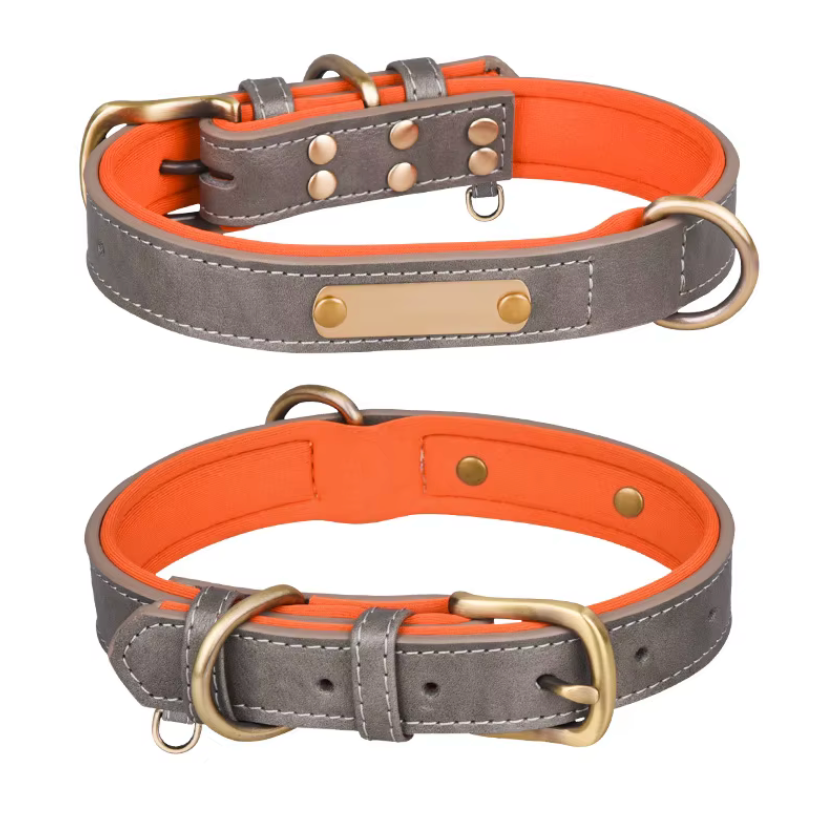 Wunderschönes Halsband mit Namen graviert.