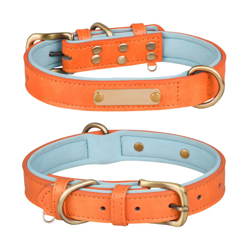 Wunderschönes Halsband mit Namen graviert.