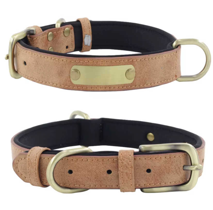Wunderschönes Halsband mit Namen graviert.