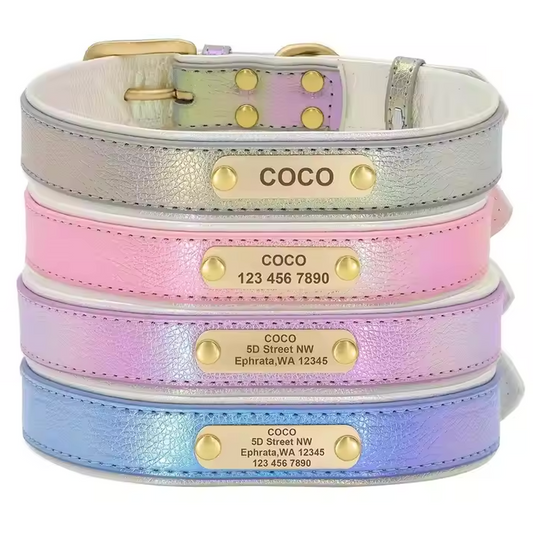 Glanzvolles Hundehalsband mit personalisierter Gravur – Schimmerndes Design & höchster Tragekomfort