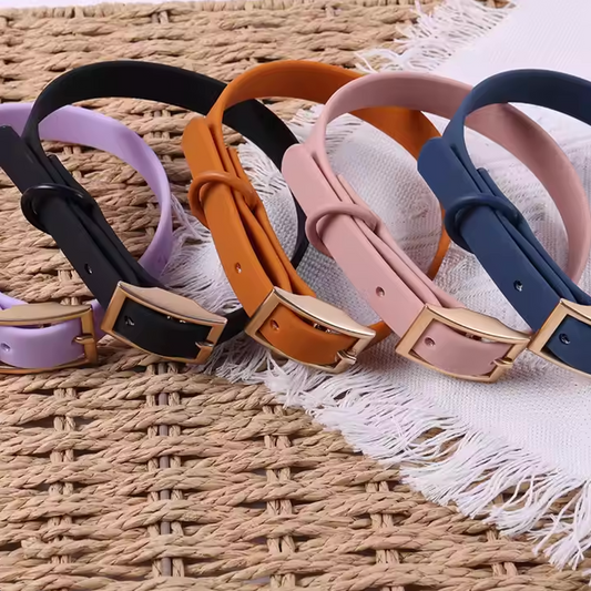 Wasserdichtes & strapazierfähiges Silikon-Hundehalsband – Robust, stilvoll & in vielen Farben erhältlich