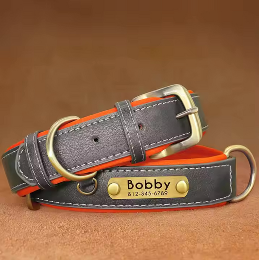 Wunderschönes Halsband mit Namen graviert.